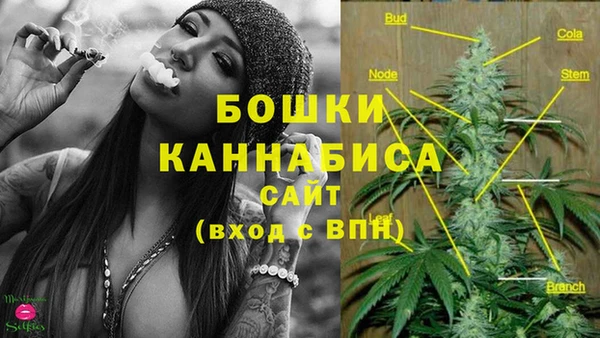 СК Арсеньев