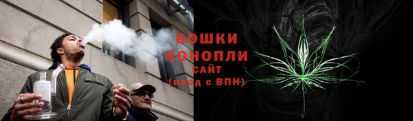 СК Арсеньев