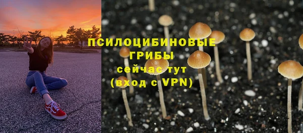 мяу мяу мука Надым