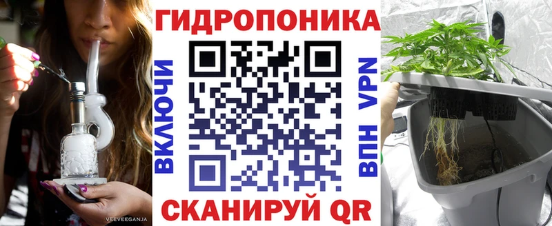 Шишки марихуана SATIVA & INDICA  как найти наркотики  Вилючинск 